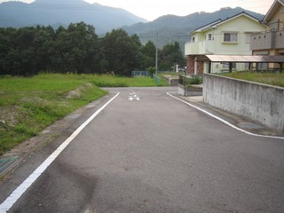 sample